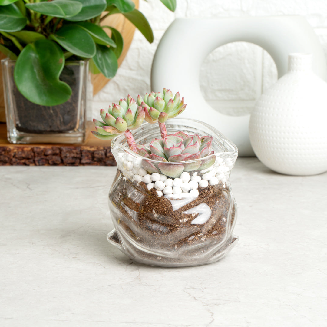 8 oz Clear Glass Storage Bowl with Lid - Round Airtight Food Container (3.25