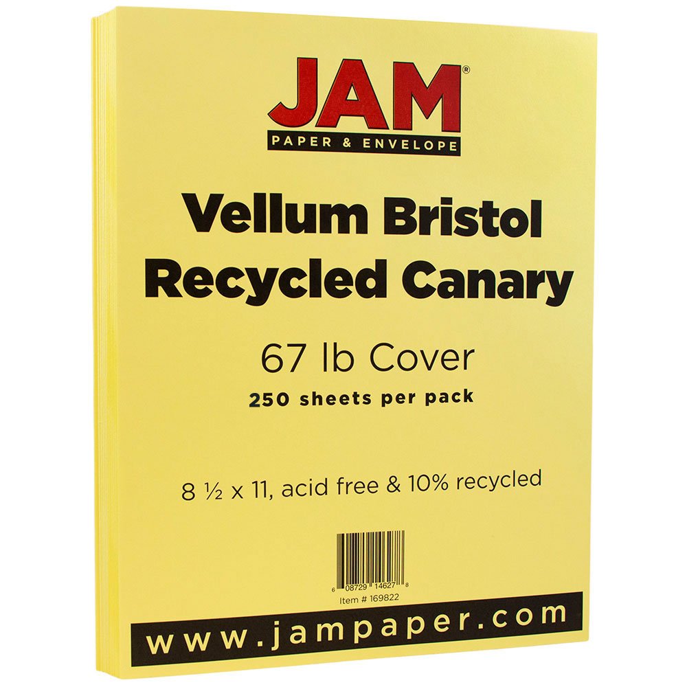 Vellum Bristol 67lb Cardstock - 8.5x11 Coverstock - 250 Sheets for Crafting & Scrapbooking