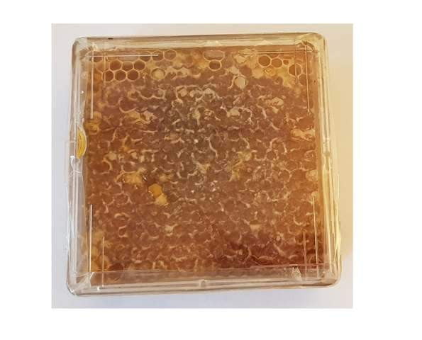 Premium Honeycomb Plastic Frames with 6 Reusable Honeycomb Boxes - Perfect for Beekeeping, Honey Storage & DIY Craft Projects