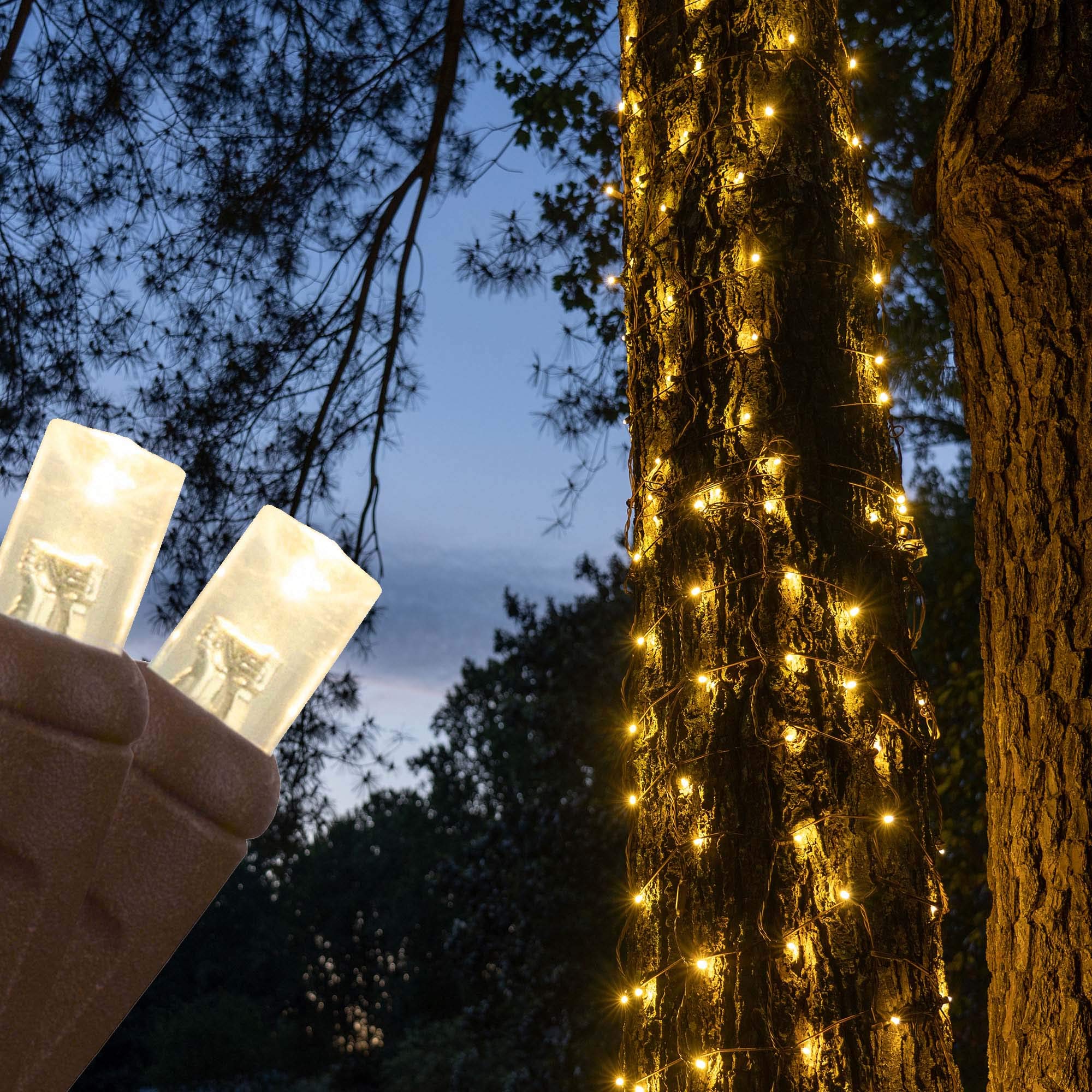 50 Warm White LED StretchNet Pro Expandable Christmas Net Lights for Small Trees & Bushes - 14
