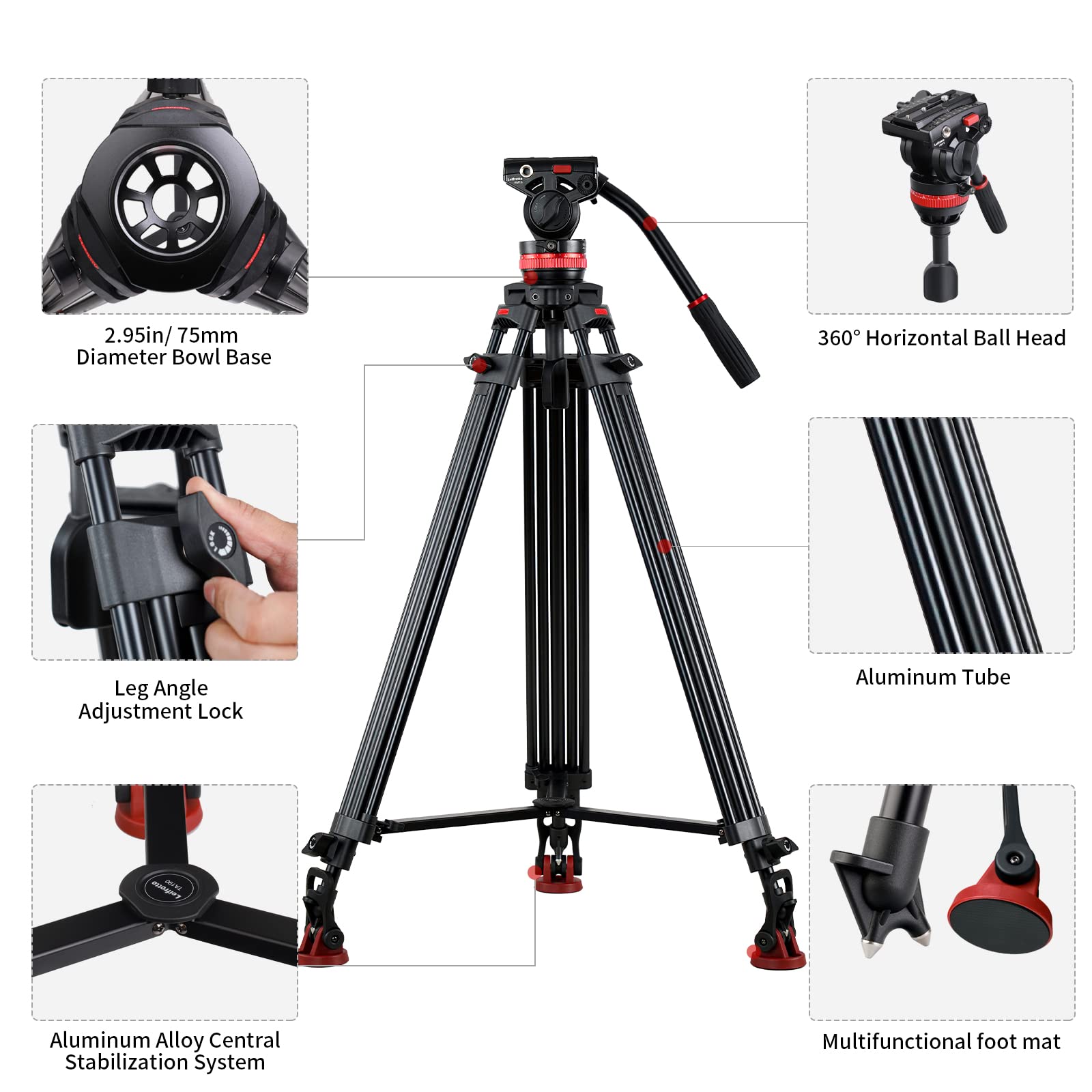 TA155H Heavy Duty Aluminum Video Tripod - 61'' Professional DSLR & Camcorder Tripod with Fluid Head, 33lbs Load Capacity, 360° Pan, 75mm Bowl, Adjustable Tilt +90°/-75° - Perfect for Filmmaking, Vlogging & Photography