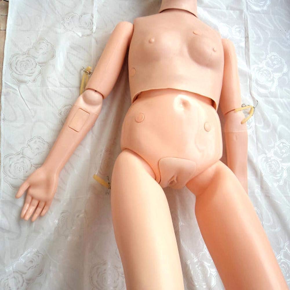 Life-Size Female Anatomical Human Manikin Model - Nursing Training, Medical Education & Classroom Teaching Supplies for Healthcare Professionals & Students | Perfect for CPR Practice, Anatomy Study & Clinical Demonstrations