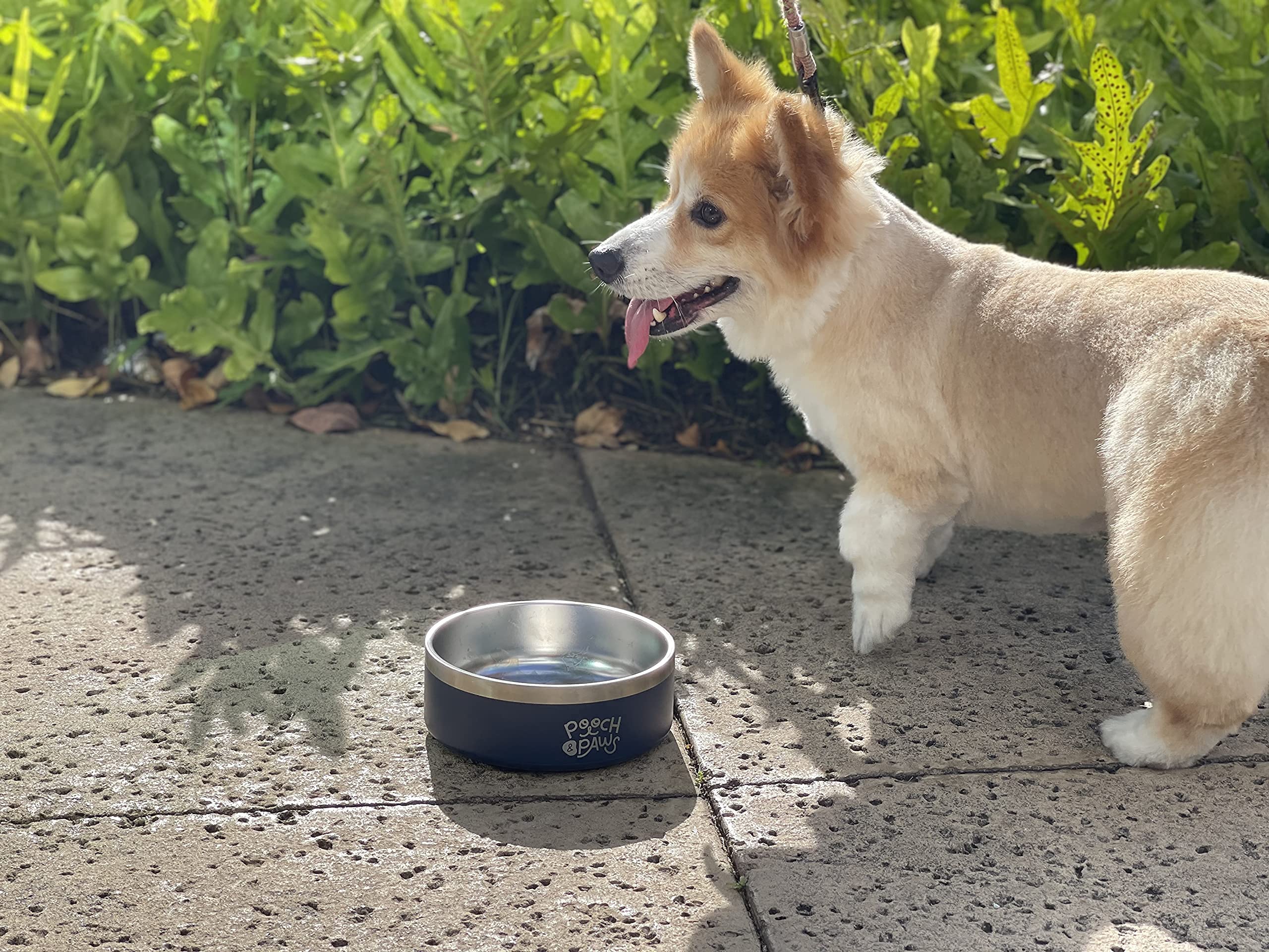 Stainless Steel Non-Slip Dog Bowl - Double Wall Insulated Pet Food & Water Dish (42oz, Glacier White) - Keeps Water Cool for Outdoor, Travel & Home Use