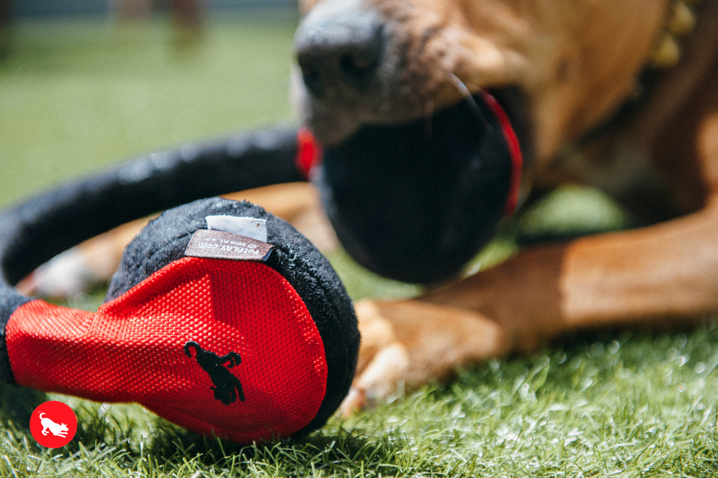 Globetrotter Plush Dog Toy with Squeaker - Soft & Durable Chew Toy for Small & Large Dogs | Perfect for Playtime, Training & Travel | Pet P.L.A.Y.