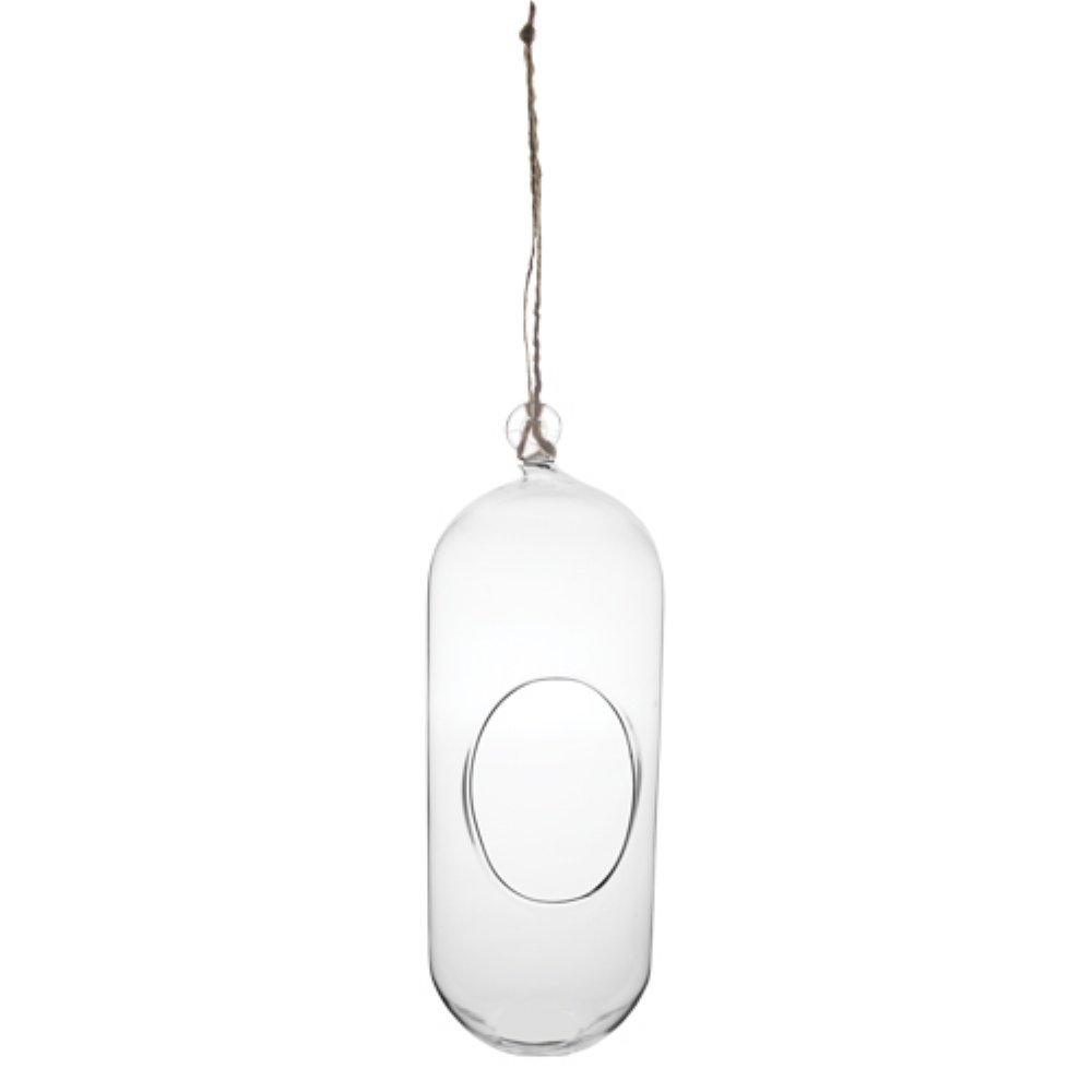 Syndicate Home & Garden Glass Hanging Terrarium Planter - Perfect for Indoor Plants, Succulents & Air Plants | Ideal for Home Decor, Office Spaces & Gift Giving