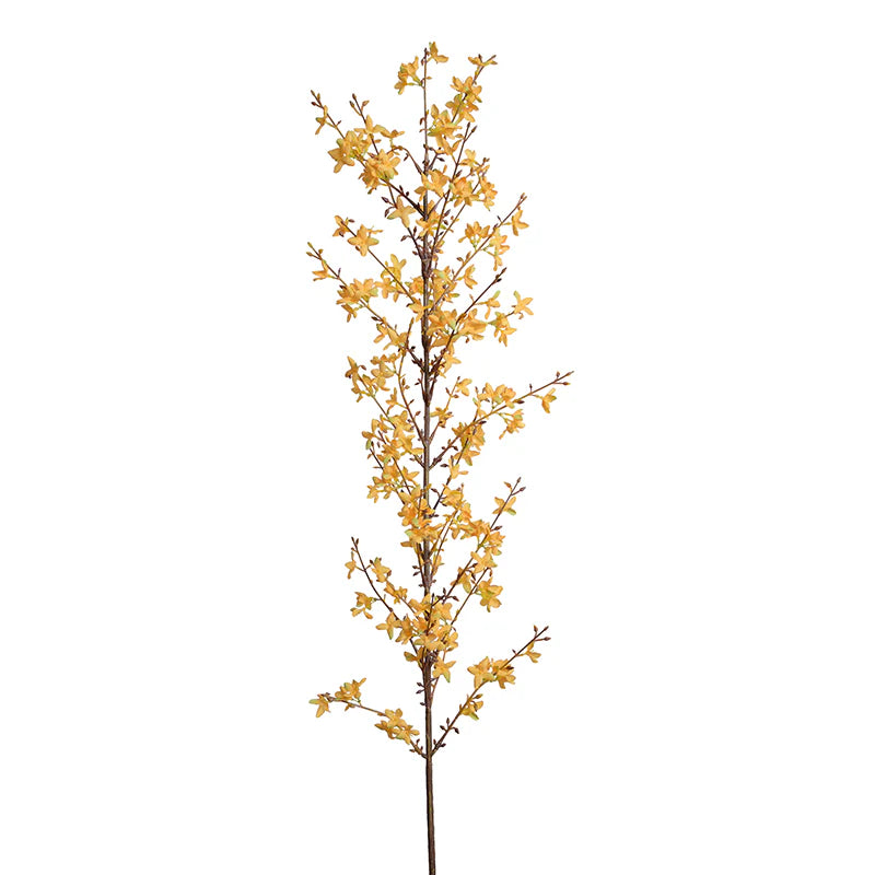 Forsythia Flower Branches - Natural Yellow Spring Decor for Home, Wedding, and Floral Arrangements | Perfect for DIY Crafts, Centerpieces, and Seasonal Displays