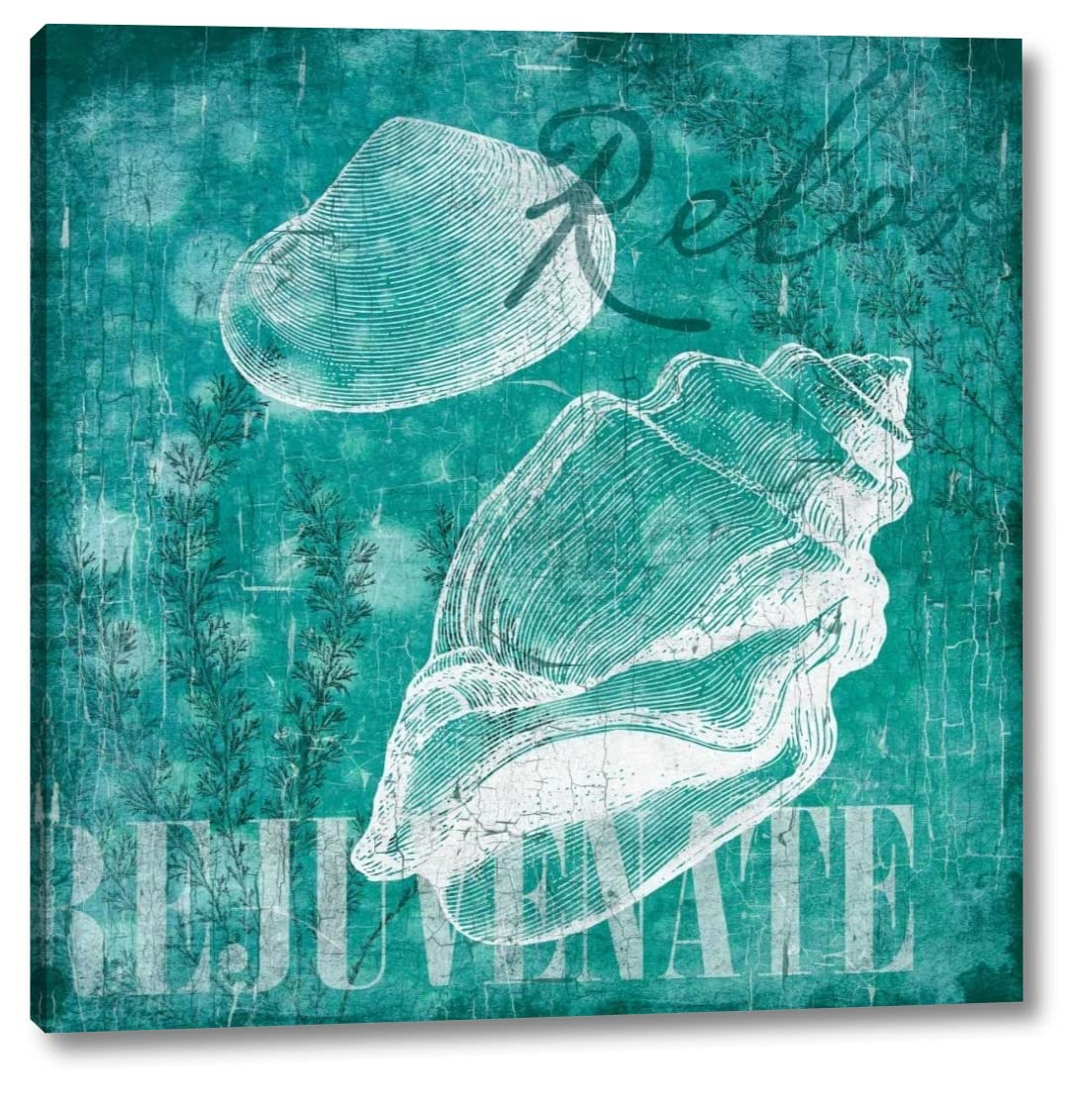 Shell Bubbles I in Teal - 24x24 Inch Canvas Art Print by Jace Grey - Gallery Wrapped, Ready to Hang - Modern Coastal Wall Decor for Living Room, Bedroom & Office