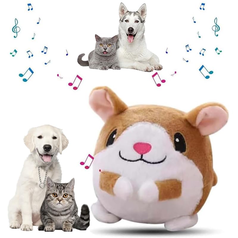 Hamster