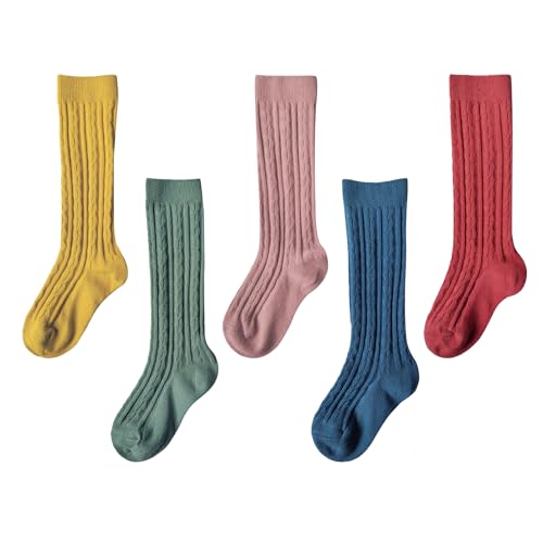 5color-b