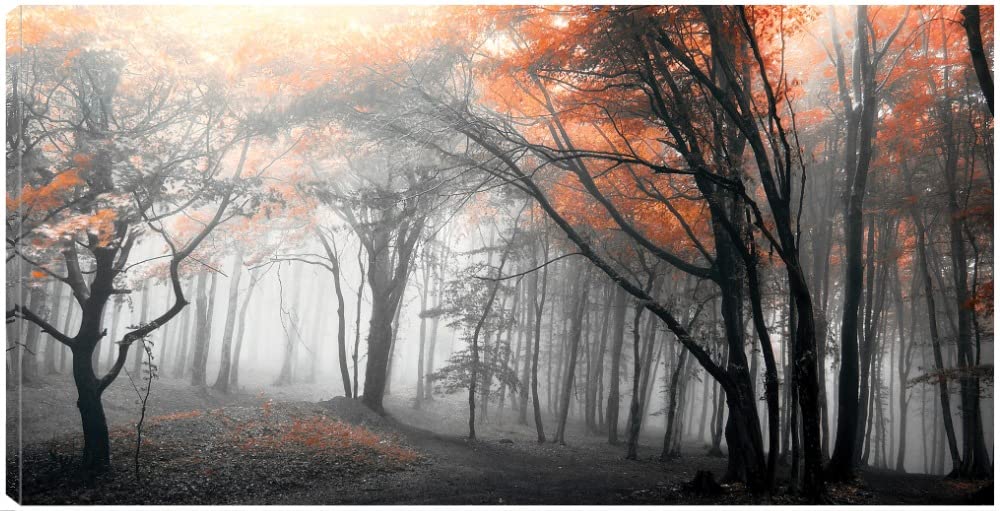 Autumn Woods Fine Art Canvas Wall Decor by Artist Incado - 56x29 Inch Ready to Hang Painting for Living Room, Bedroom, Office & More - Nature Landscape Artwork for Home & Commercial Spaces