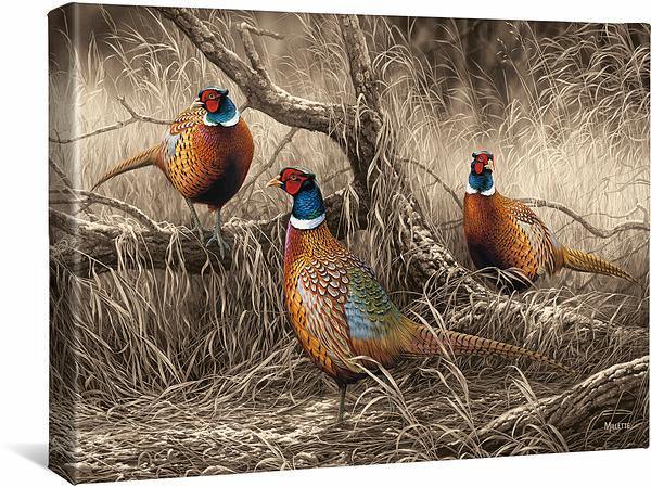 First Dusting—Pheasants 13x18 Gallery Wrapped Canvas Wall Art - Nature Wildlife Decor for Living Room, Bedroom & Office