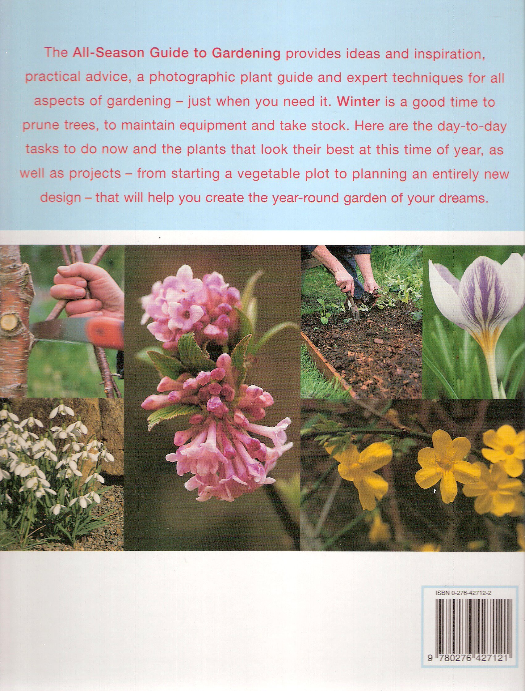Winter Gardening Guide: All-Season Tips for Planting, Growing & Harvesting | Perfect for Home Gardeners & Beginners