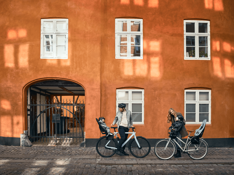 Thule Yepp 2 Maxi Rack Mount Child Bike Seat - Universal Fit for Bicycles, Safe & Comfortable Toddler Carrier - Perfect for Family Cycling, Commuting & Outdoor Adventures