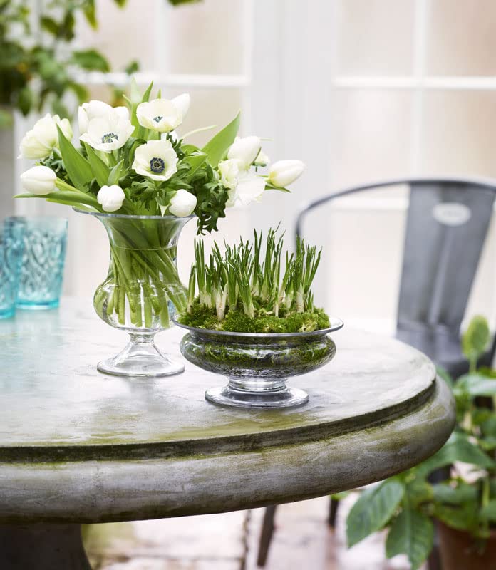 Clear Glass Vase 22.2x22.4x25.6 Inches - Modern Home Decor for Flowers, Centerpieces & Wedding Decorations