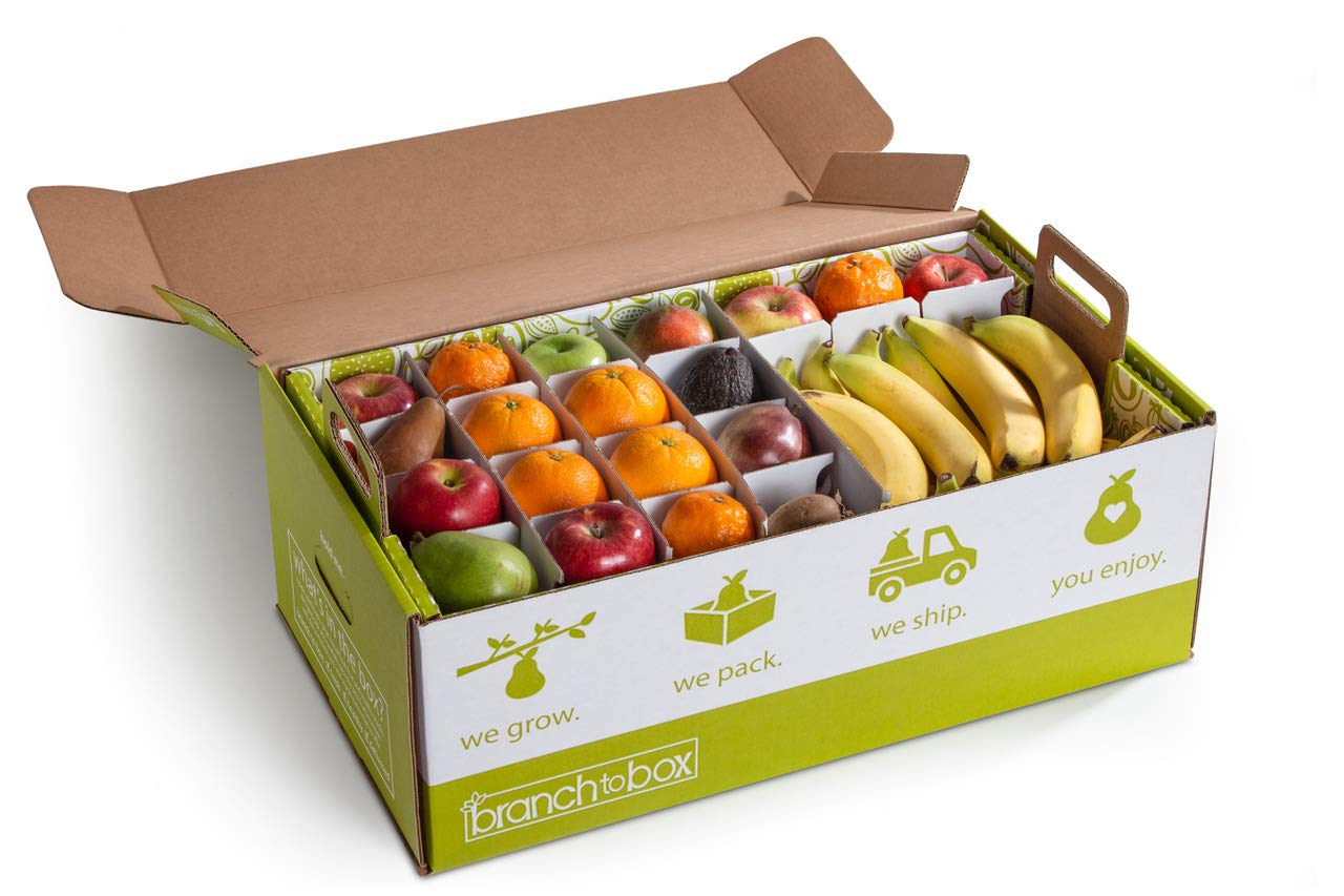 BTB Jumbo Box - Premium Fruit Gift Set | Perfect for Corporate Gifting, Birthday Presents & Holiday Baskets | Fresh Fruit Delivery for Special Occasions