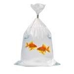 18 X 24 Inch 1.5 Mil Clear Flat Poly Bags (Pack of 1,000) - Laddawn 255 - Perfect for Retail Packaging, Storage & Shipping