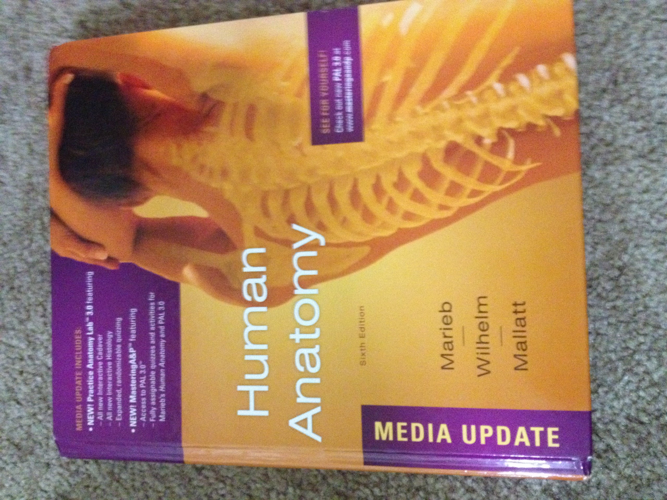 Human Anatomy, Media Update (6th Edition) - Comprehensive Textbook for Medical Students & Healthcare Professionals | Ideal for Classroom Study & Clinical Reference
