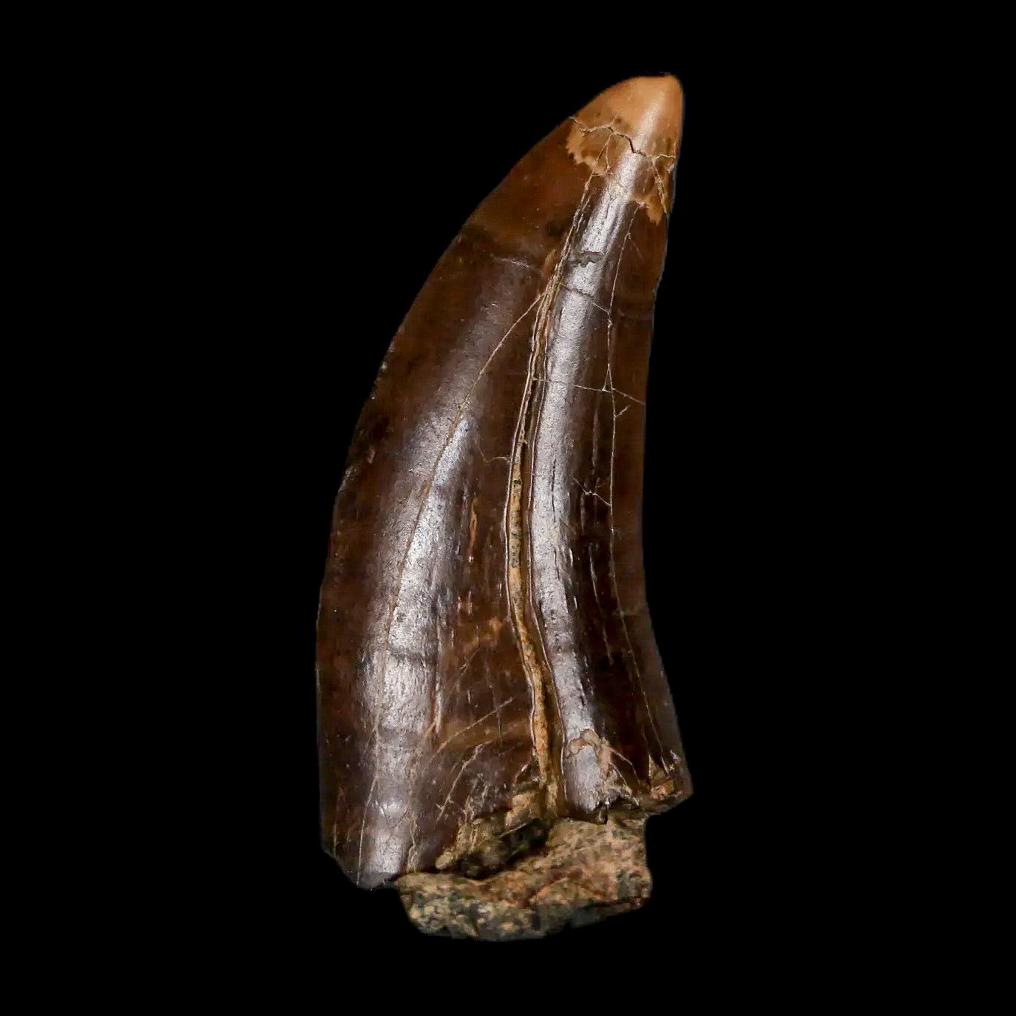 1.5