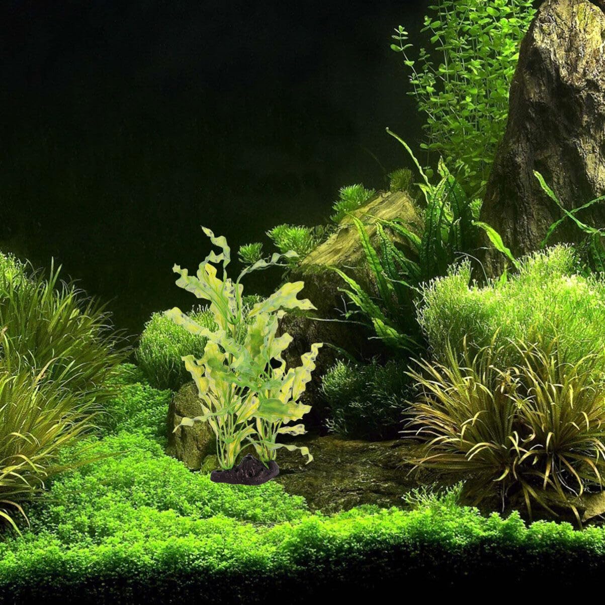 POPETPOP Artificial Aquarium Plants - Realistic Plastic Kelp & Aquatic Plants for Fish Tank Decorations, Perfect for Freshwater & Saltwater Aquariums, Terrariums, and Home Office Decor