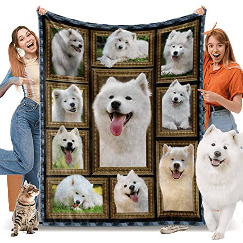 Samoyed