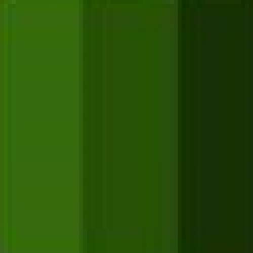 Pine Green