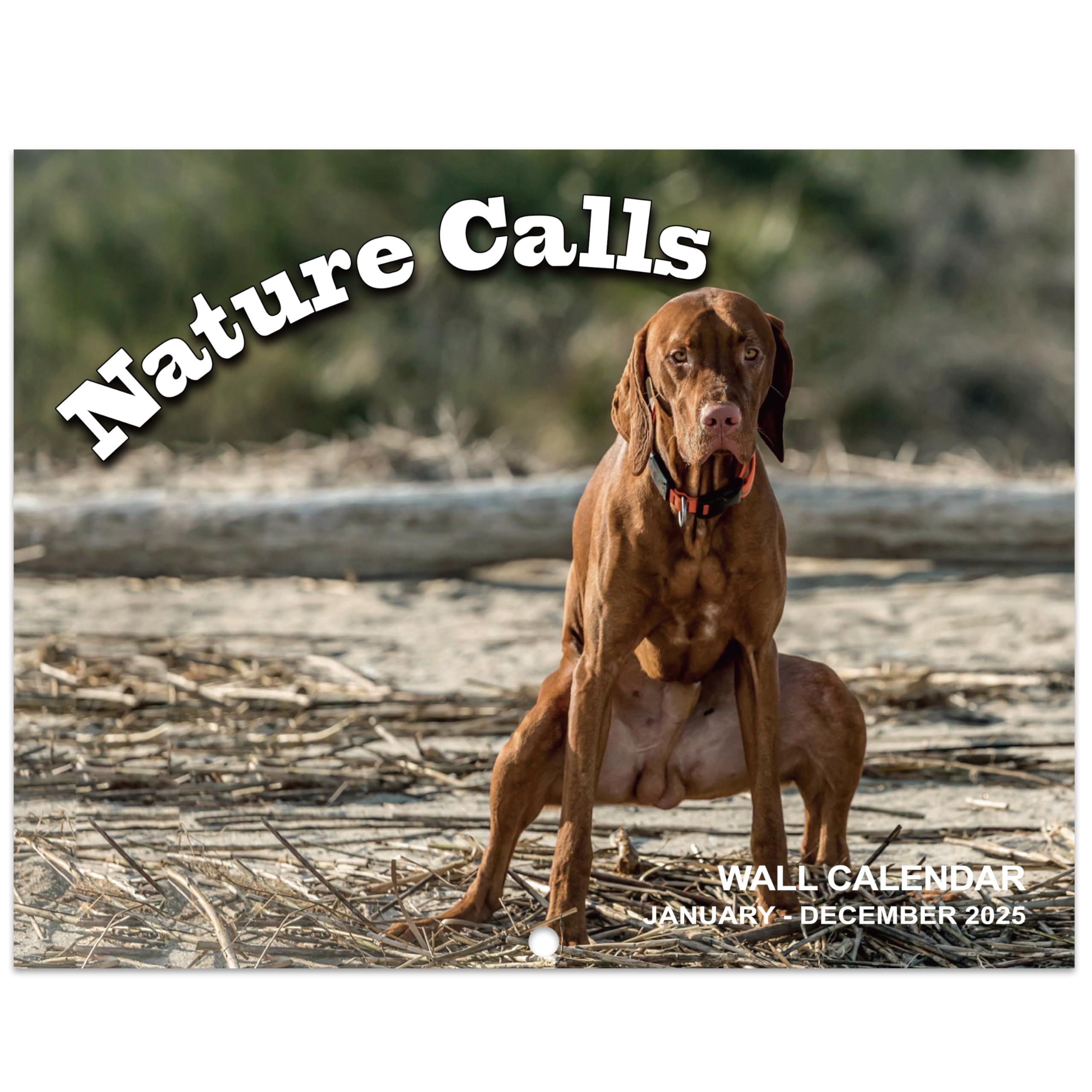 2025 Funny Pooping Dogs Wall Calendar - 11x17 Inch Jan-Dec Gag Gift for White Elephant, Office Humor & Dog Lovers - Perfect for Home, Office Decor & Unique Gift Giving