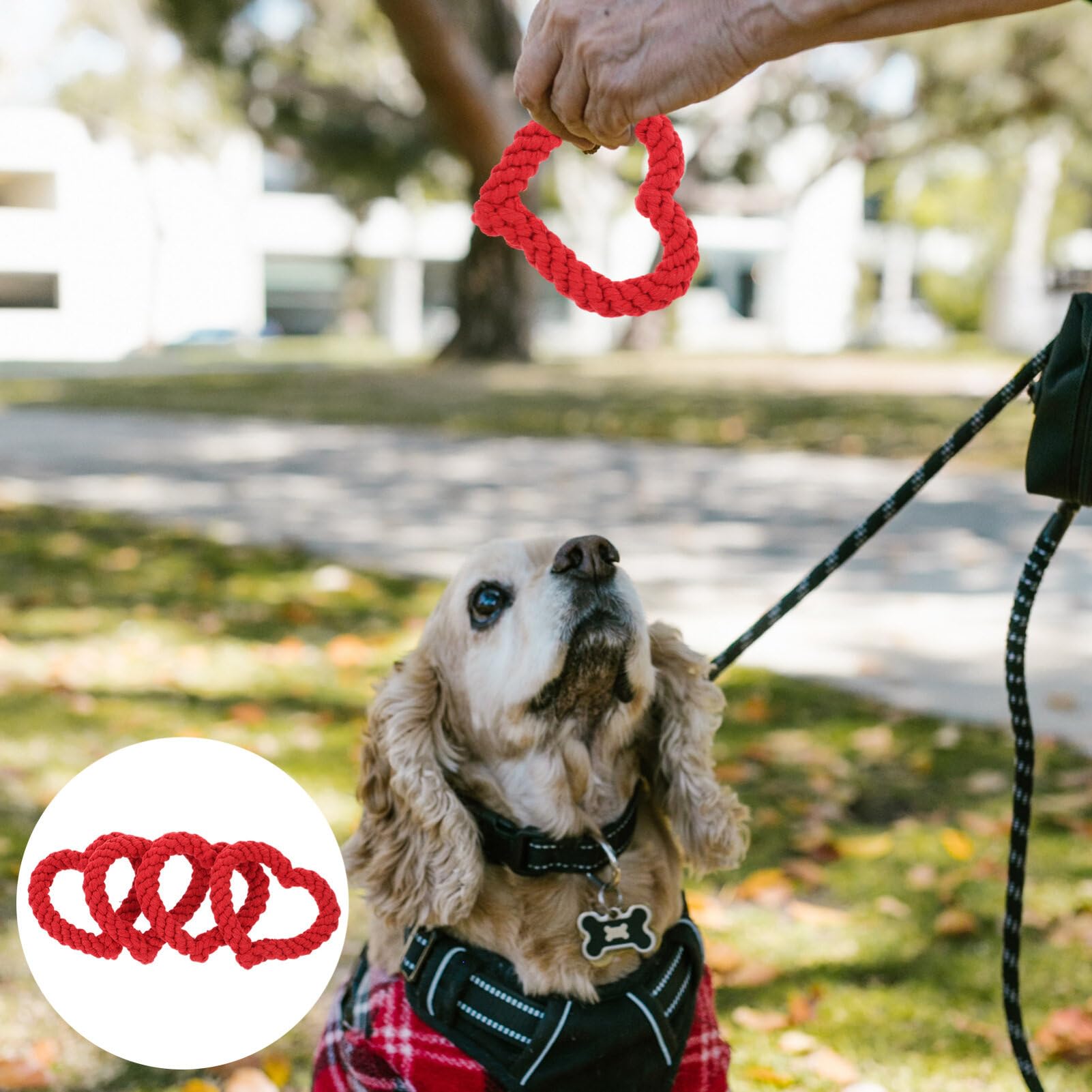4pcs Dog Chew Toys - Cotton Rope Puppy Teething Toys with Red Heart Shape for Small & Medium Dogs | Valentine's Day, New Year & Pet Party Supplies (Random Colors) | Perfect for Training, Playtime & Dental Health