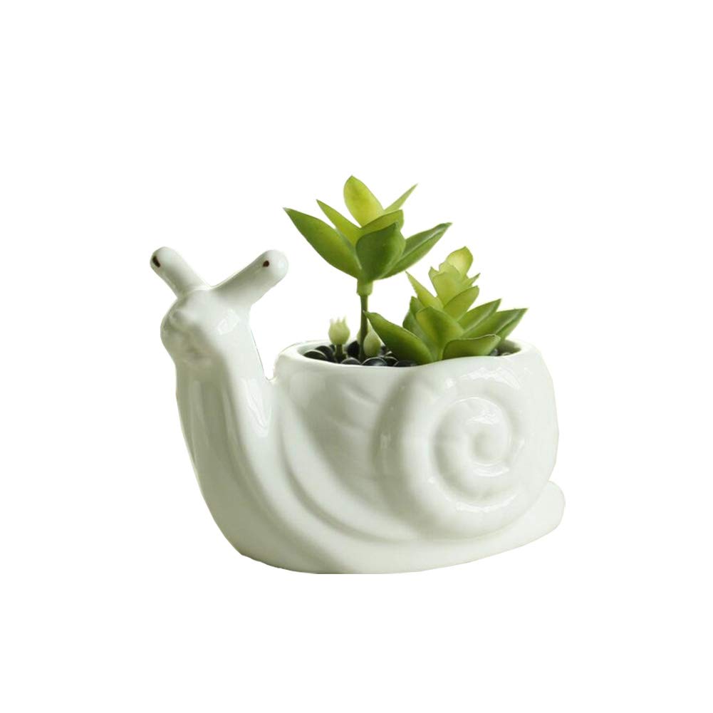 Adorable Animal Shaped Succulent Planter - Cute Snail Flower Pot for Home & Office Desk Decor | Perfect for Small Plants, Air Plants & Desk Organizer | Ideal Gift for Plant Lovers & Home Decor Enthusiasts