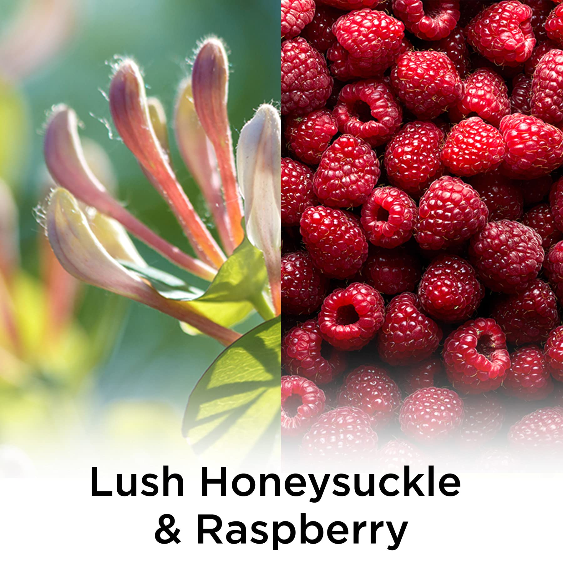 Air Wick Essential Mist Refill - Lush Honeysuckle & Raspberry Scent (1 Count) | Essential Oil Diffuser Refill for Home, Office & Car | Long-Lasting Air Freshener for Relaxation & Aromatherapy