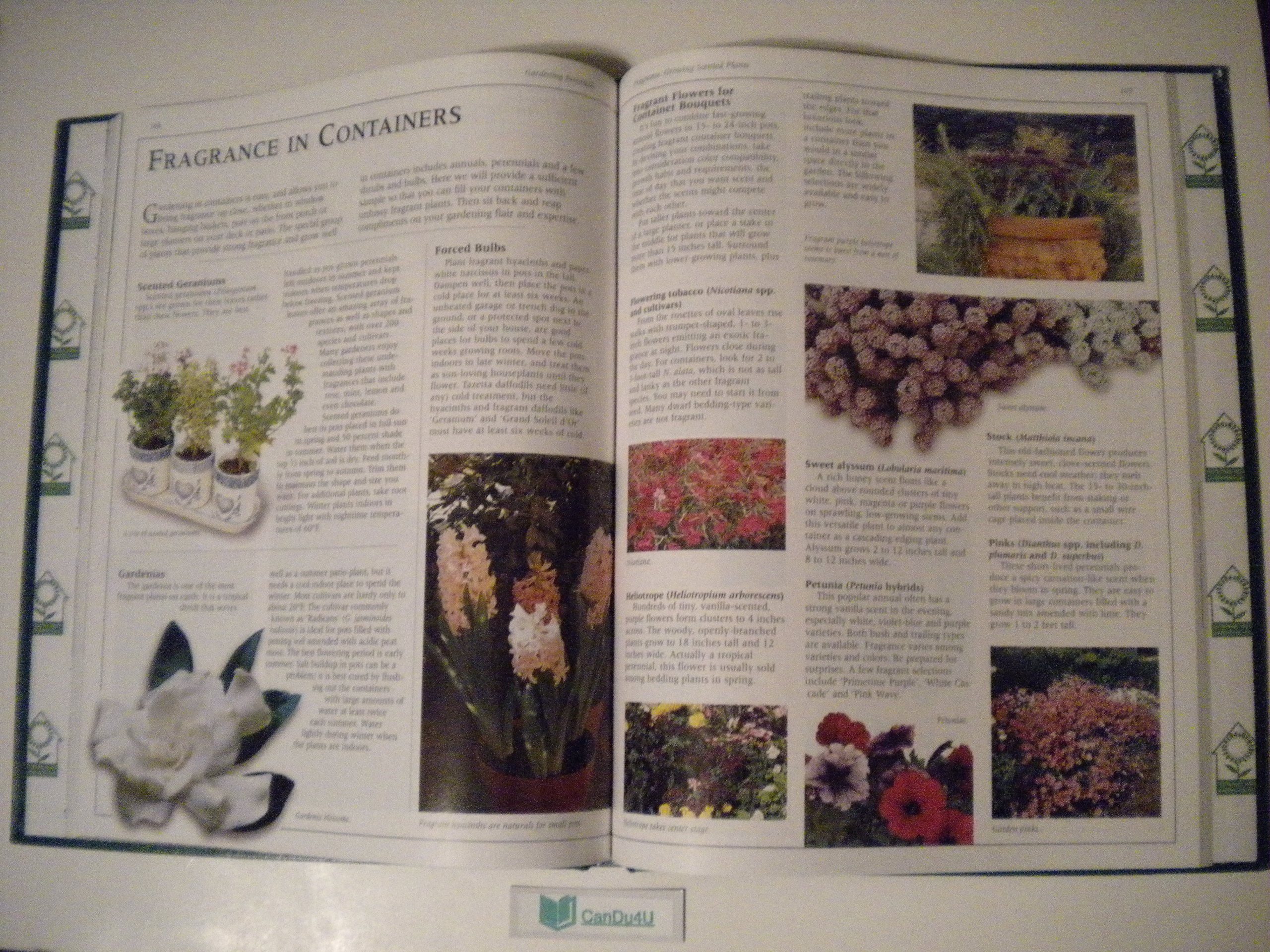 Gardening Essentials - Complete Gardener's Library | Tools, Seeds & Supplies for Home Gardeners | Perfect for Backyard Planting, Landscaping & Indoor Herb Gardens