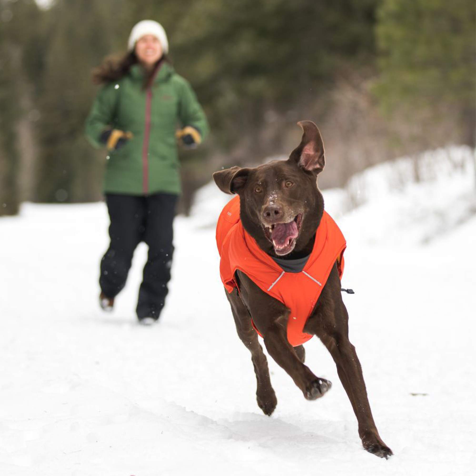 RUFFWEAR Quinzee Insulated Water Resistant Dog Jacket with Stuff Sack - Huckleberry Blue, XX-Small - Perfect for Winter Walks & Outdoor Adventures