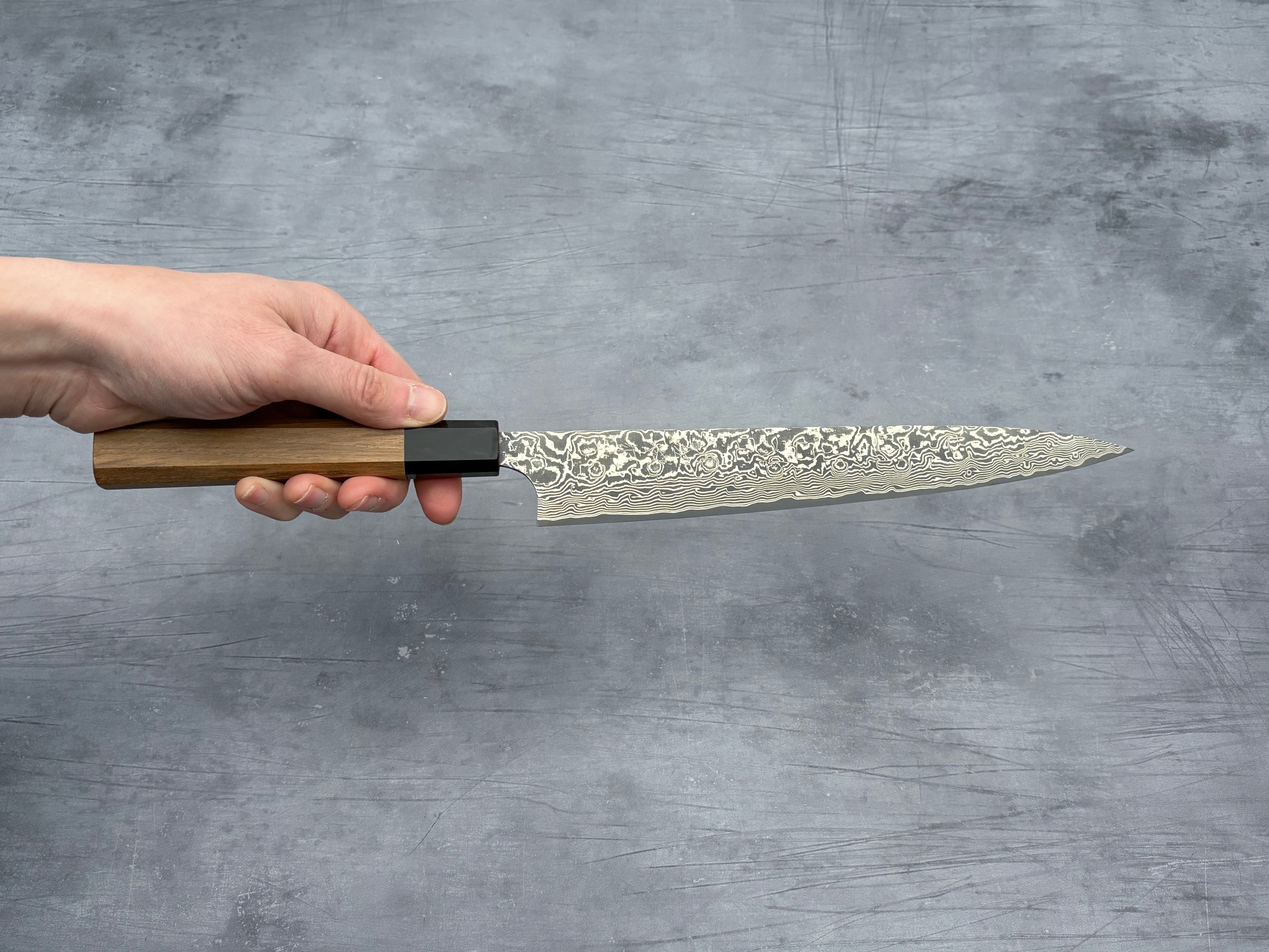 Premium Takeshi Saji R2 Damascus Sujihiki 240mm Japanese Chef Knife - High Carbon Steel, Razor Sharp Blade for Slicing Meat, Sushi & Precision Cutting - Perfect for Professional Chefs & Home Cooking Enthusiasts