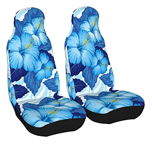 Blue Hibiscus Flowers