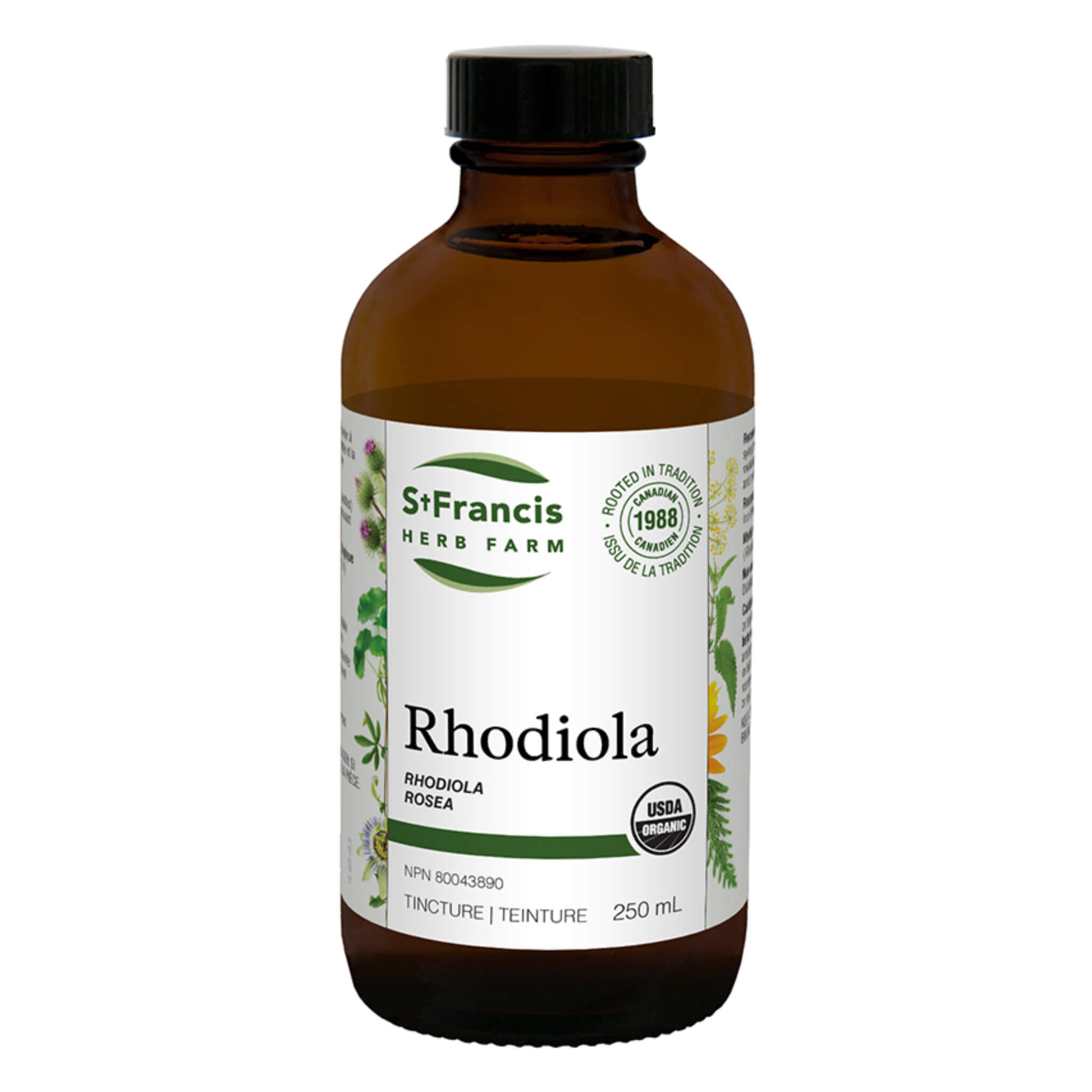 Premium Rhodiola Rosea Root Extract Supplement - Natural Stress Relief & Energy Booster for Focus, Mood & Immune Support - Perfect for Work, Study & Daily Wellness