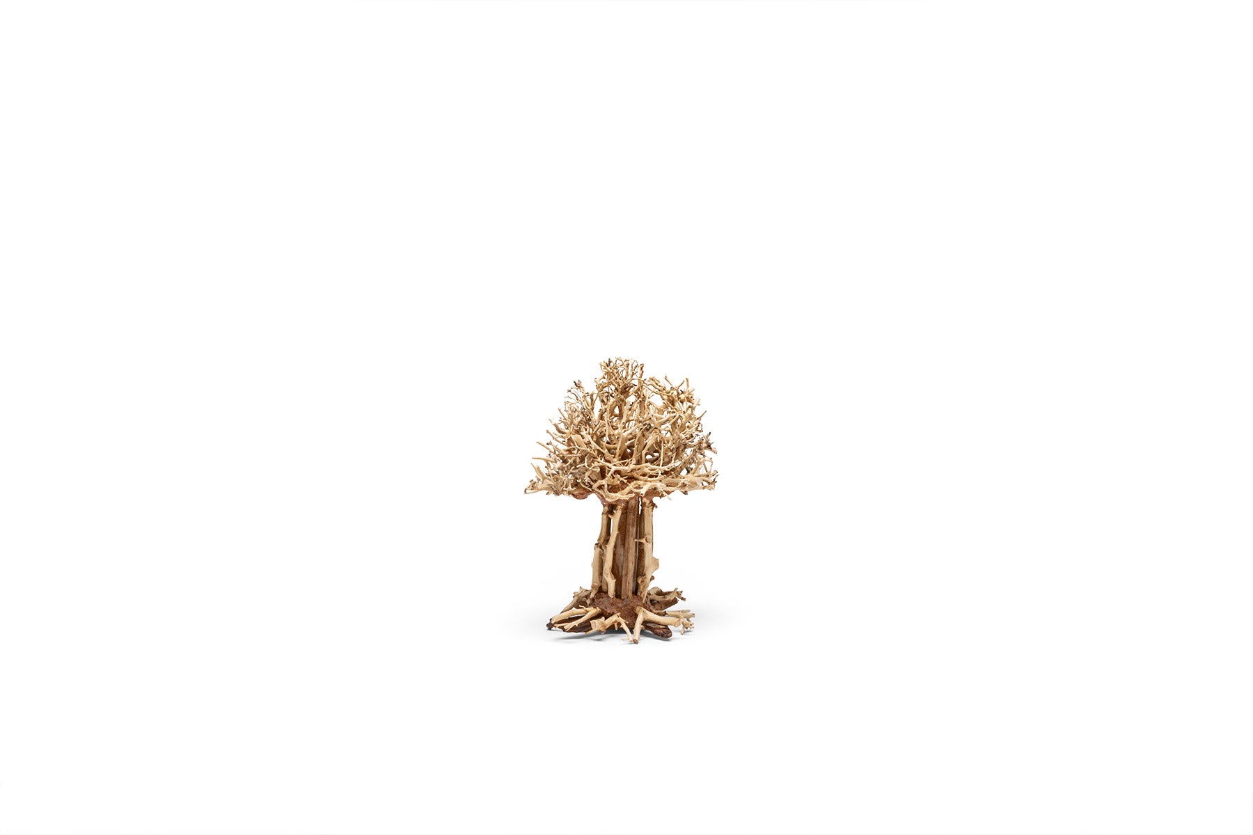Uns Bonsai 007 - Premium Mini Bonsai Tree Kit for Home & Office Decor, Perfect Gift for Plant Lovers, Zen Garden & Indoor Gardening Enthusiasts
