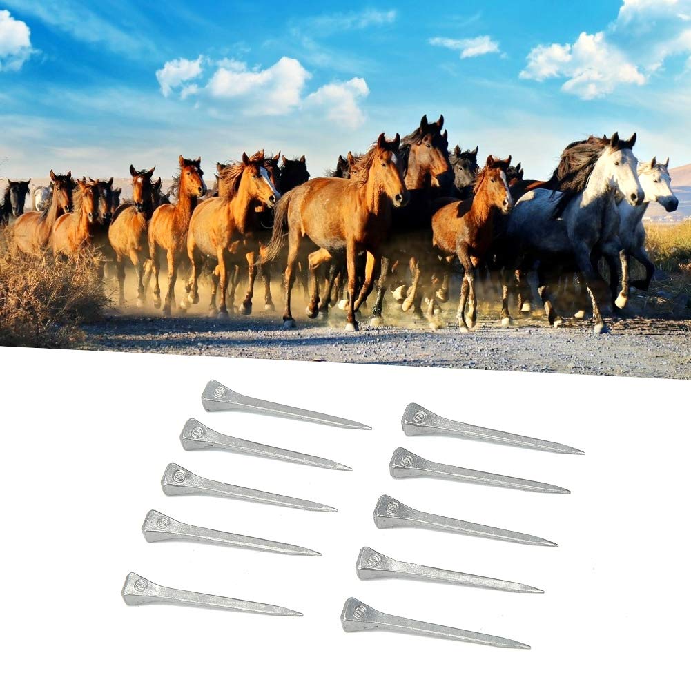 Premium Horseshoe Nails 250pcs - Heavy Duty Forged Steel Horse Hoof Nails for Farrier & Equine Care - Perfect for Horseshoe Repair, Stable Maintenance & Equestrian Use
