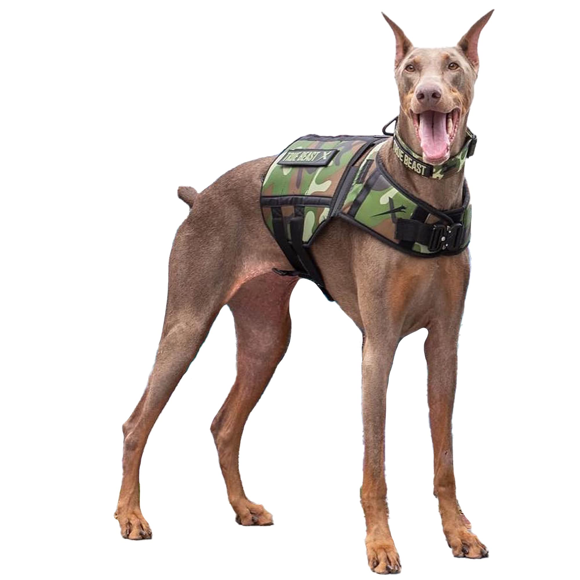 XDOG Adjustable Dog Weight Vest for Training & Fitness - Perfect for Hiking, Running, and Canine Exercise
