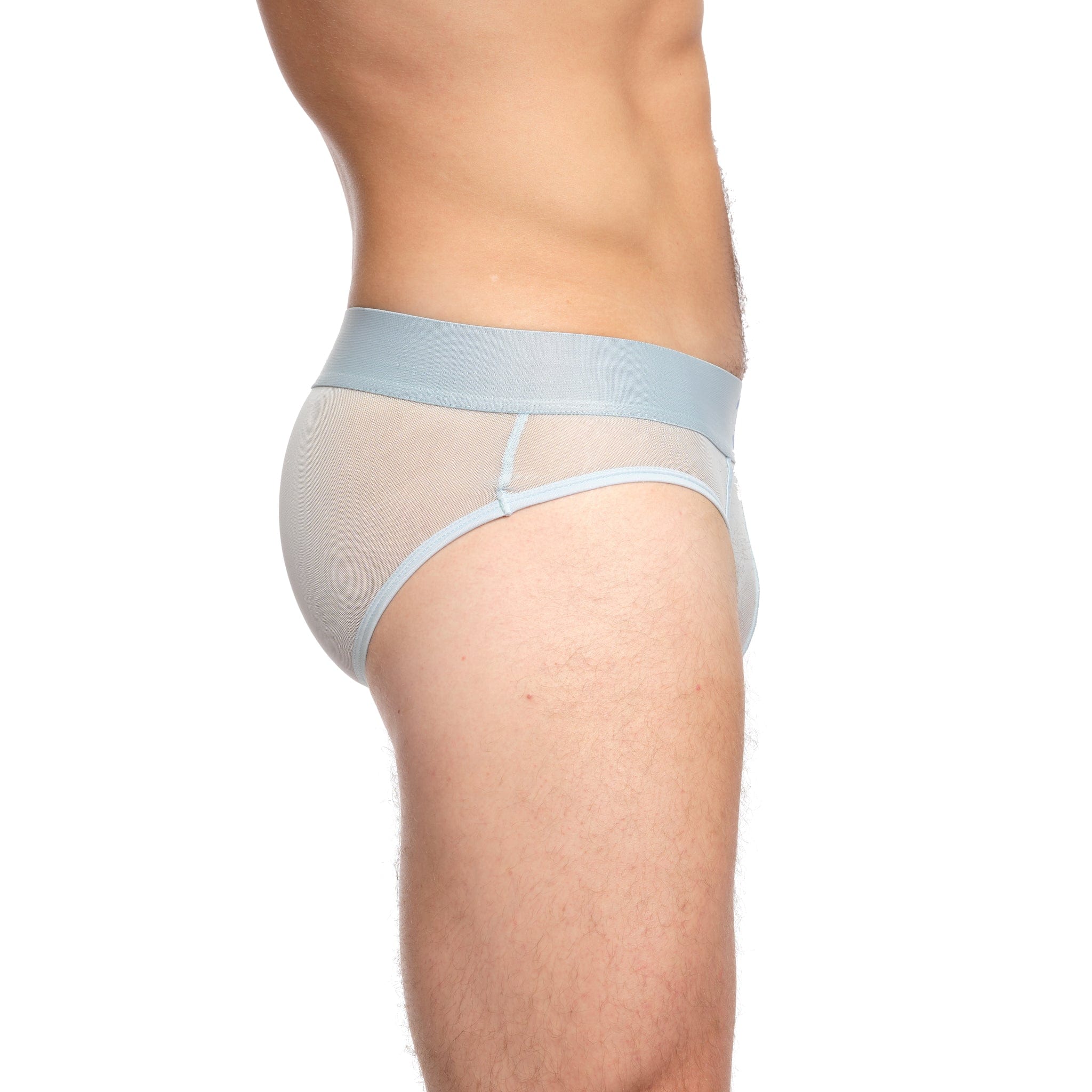 Just The Bones Sheer Brief Sky - Comfortable & Sexy Women's Underwear for Everyday Wear or Special Occasions