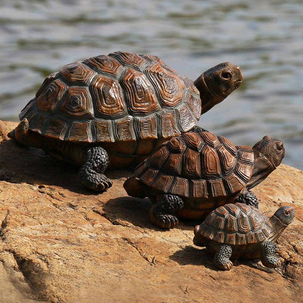 Resin Garden Turtle Statue - Outdoor Tortoise Sculpture Decor for Yard, Lawn, Pond & Rockery | Durable Home & Courtyard Ornament | Perfect for Zen Gardens, Patio Decor & Landscape Accents (Set)