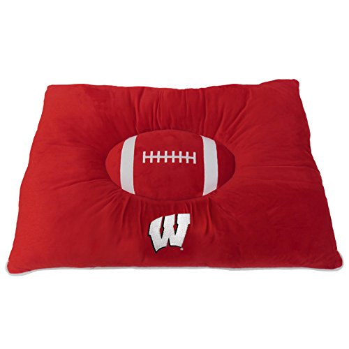 Wisconsin Badgers