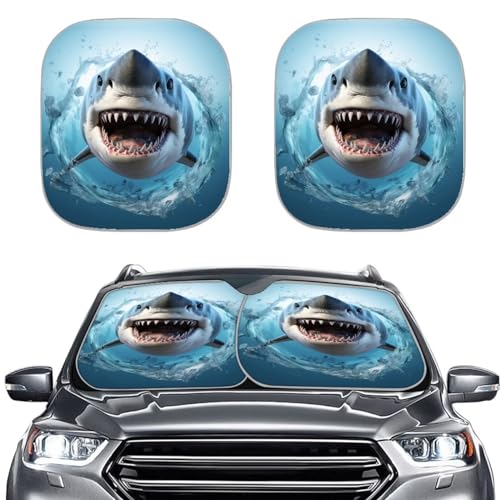 Shark2