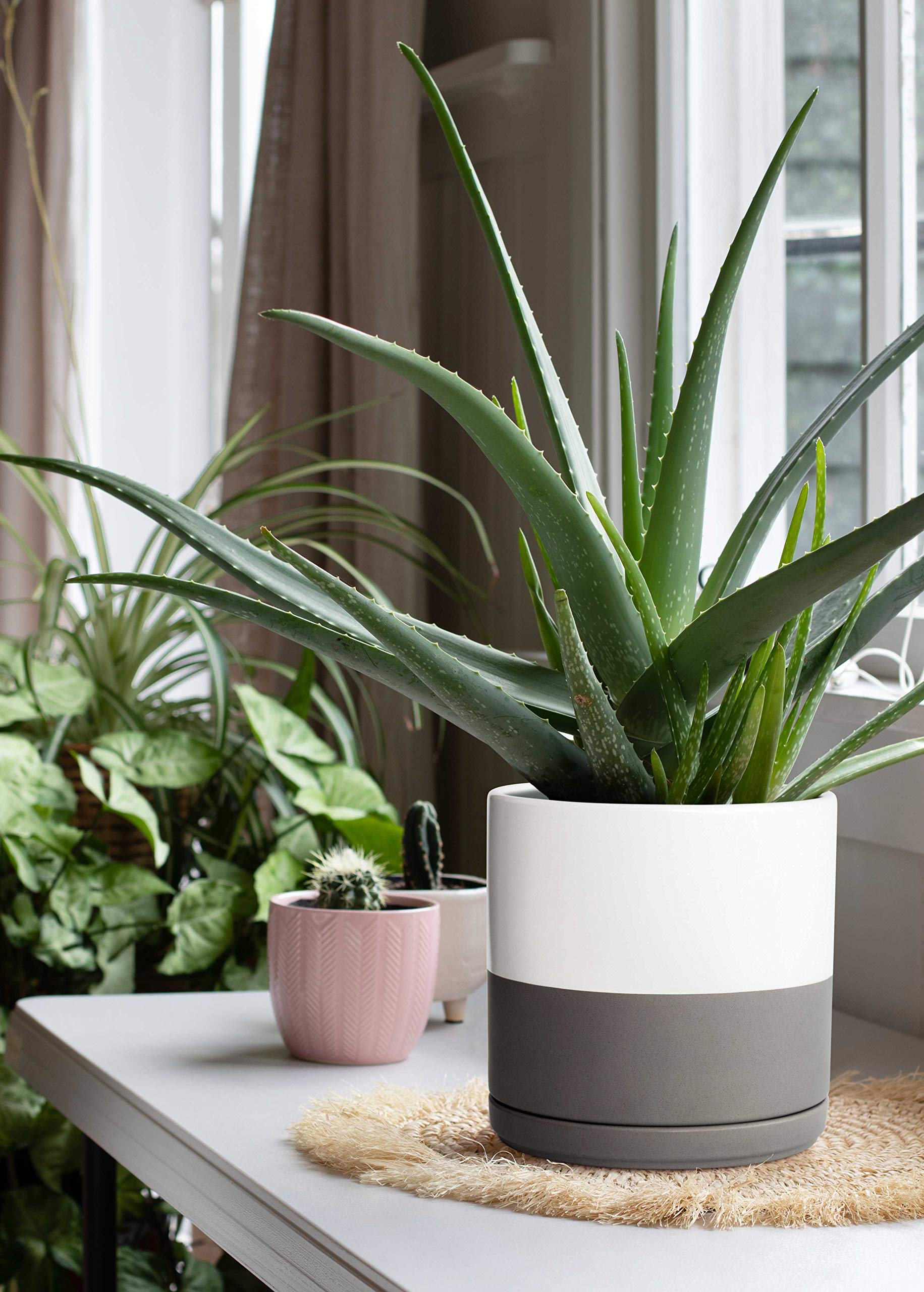 10 Inch Ceramic Planter Pot with Drainage Hole & Saucer - Indoor Cylinder Round Flower Pot for Plants, White/Speckled Grey - Perfect for Home Decor, Office Desk, Living Room & Garden Plant Display