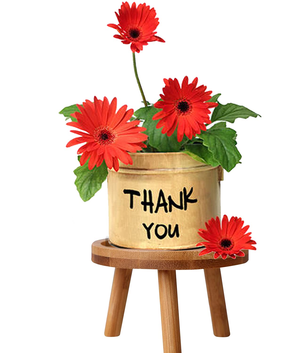 Lantsang Wooden Plant Stand for Indoor Plants - Classic Flower Pot Holder & Decorative Stool for Succulents, Cacti, Herbs | Garden, Patio, Living Room Display Shelf (Medium, Natural Wood)