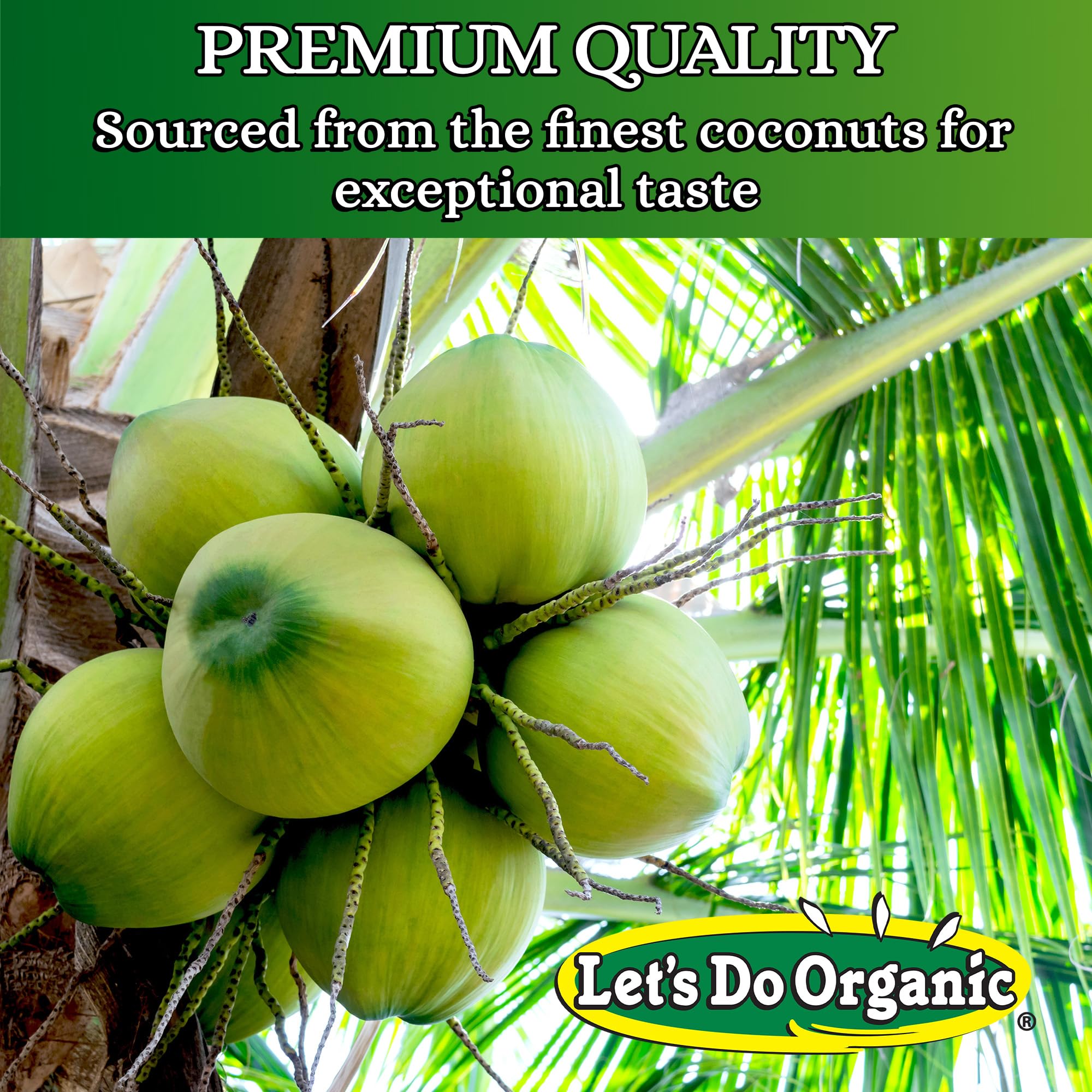 Organic Unsweetened Toasted Coconut Flakes by Edward & Sons Let's Do Organic - 25 lbs Bulk Pack | Perfect for Baking, Smoothies, and Healthy Snacks