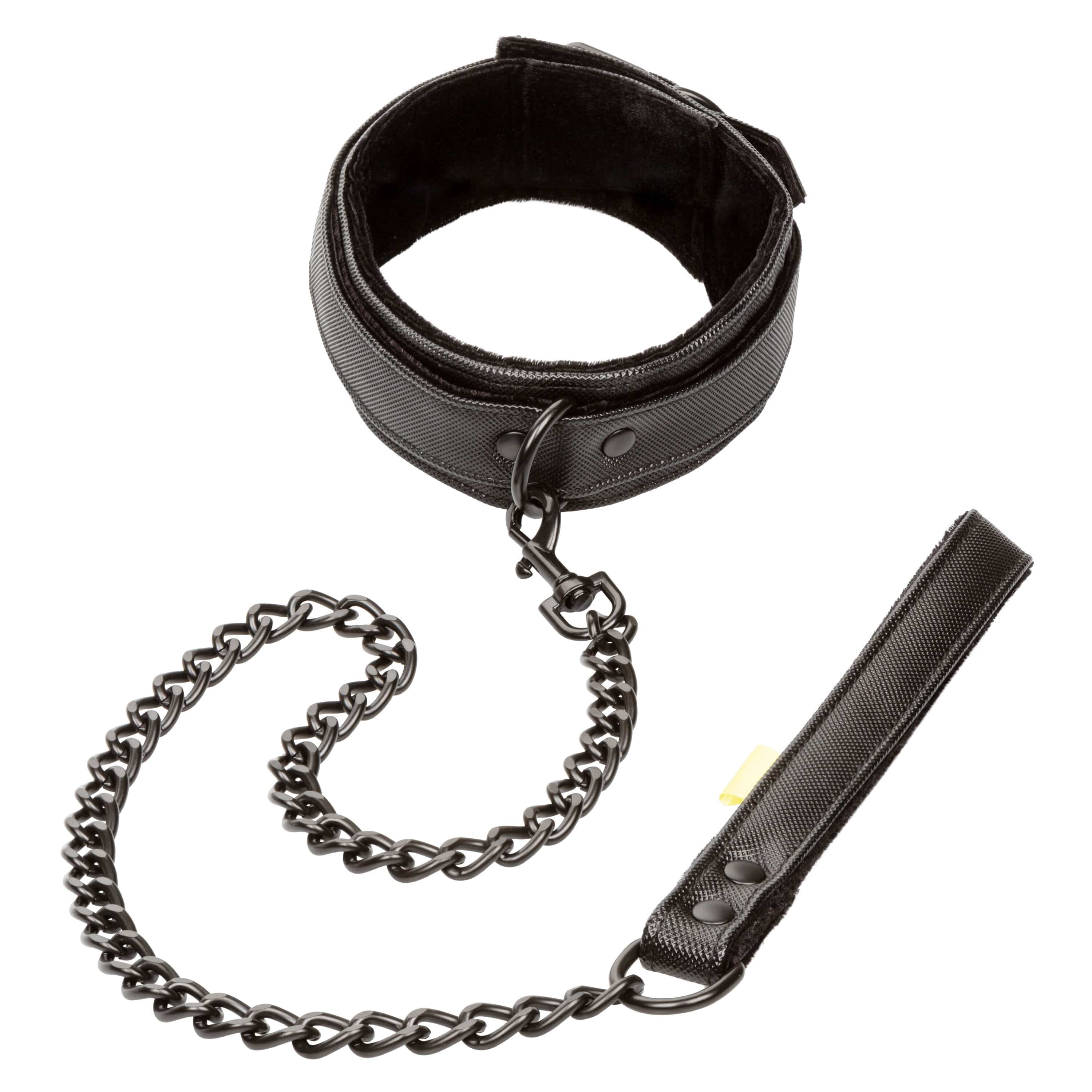 Boundless Dog Collar and Leash Set - Adjustable Nylon Pet Collar with Matching Leash for Small Medium Large Dogs - Perfect for Walking, Training, and Outdoor Adventures