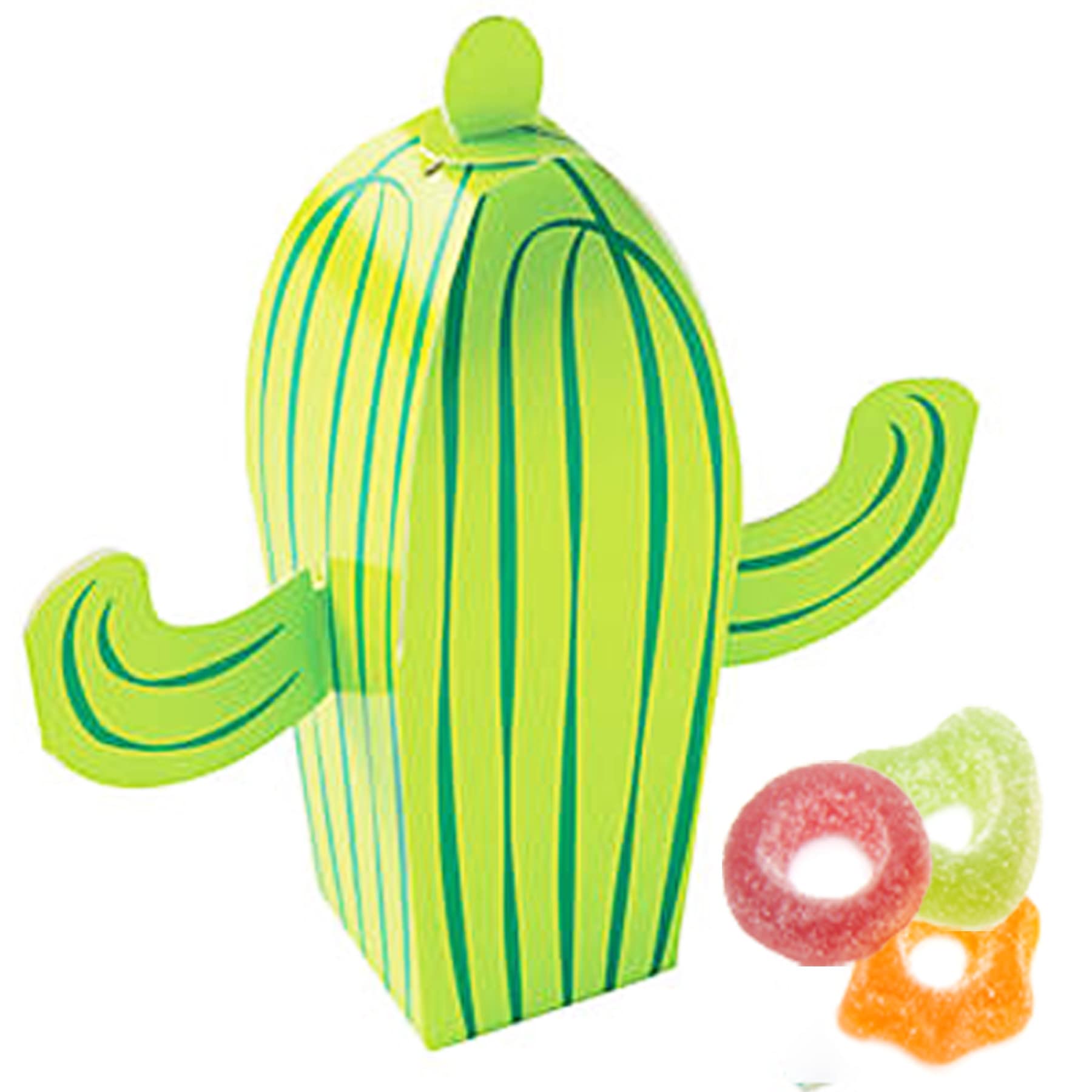 Cactus Party Favor Boxes - 12 Pack Mexican Fiesta Goodie Bags for Cinco De Mayo, Baby Shower, Boho Jungle Theme Birthday Party Supplies | Perfect for Wedding Favors, Bridal Showers & Themed Events