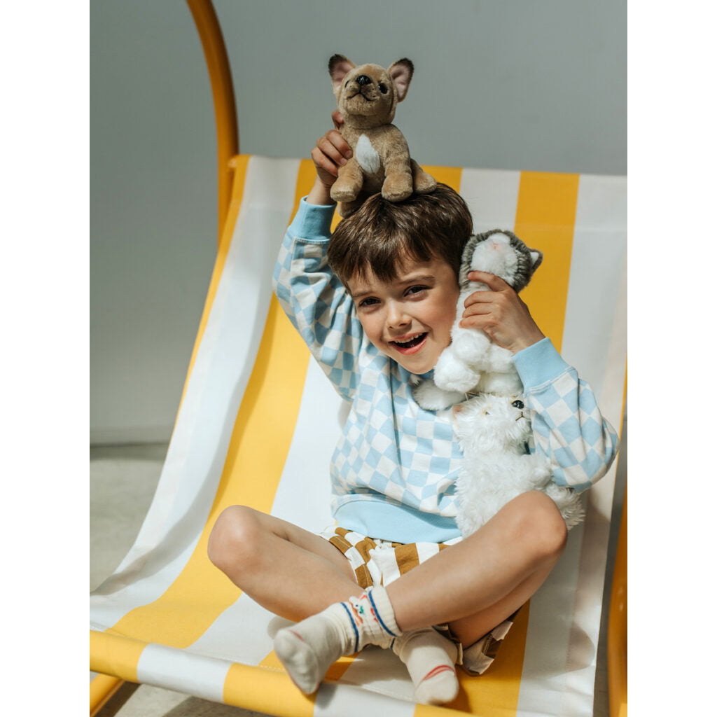 B.T. Chaps Amelie The Scottish Fold Cat Plush Toy in Gift Box - 17cm (6.5 inch) Cute Stuffed Animal for Kids & Cat Lovers - Perfect Gift for Birthdays, Valentine's Day & Christmas