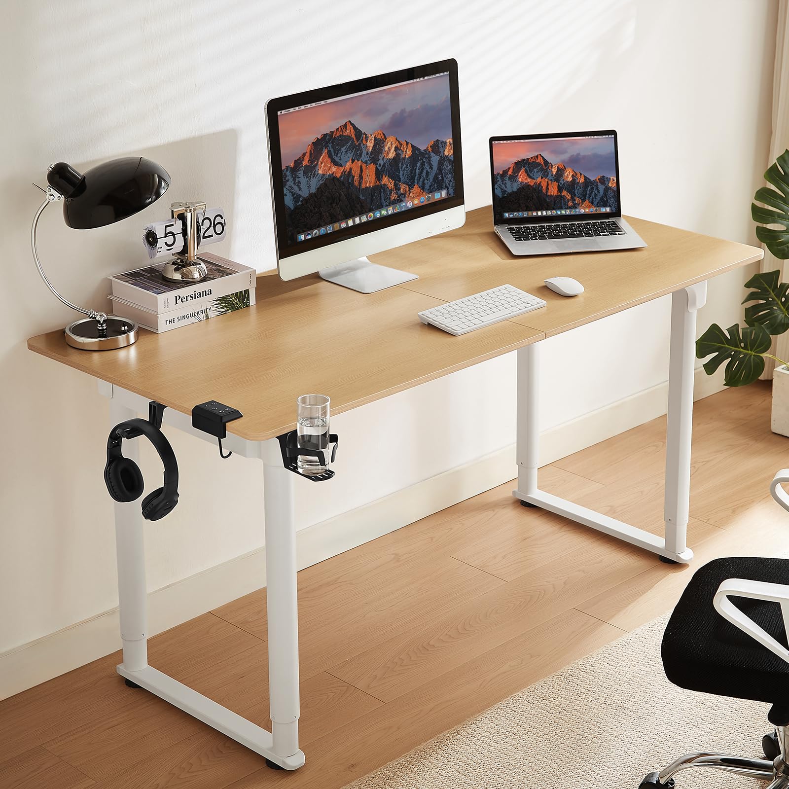 Adjustable Electric Standing Desk 63x30 Inches - Dual Motor Sit Stand Desk with Memory Controller, Height 28-46