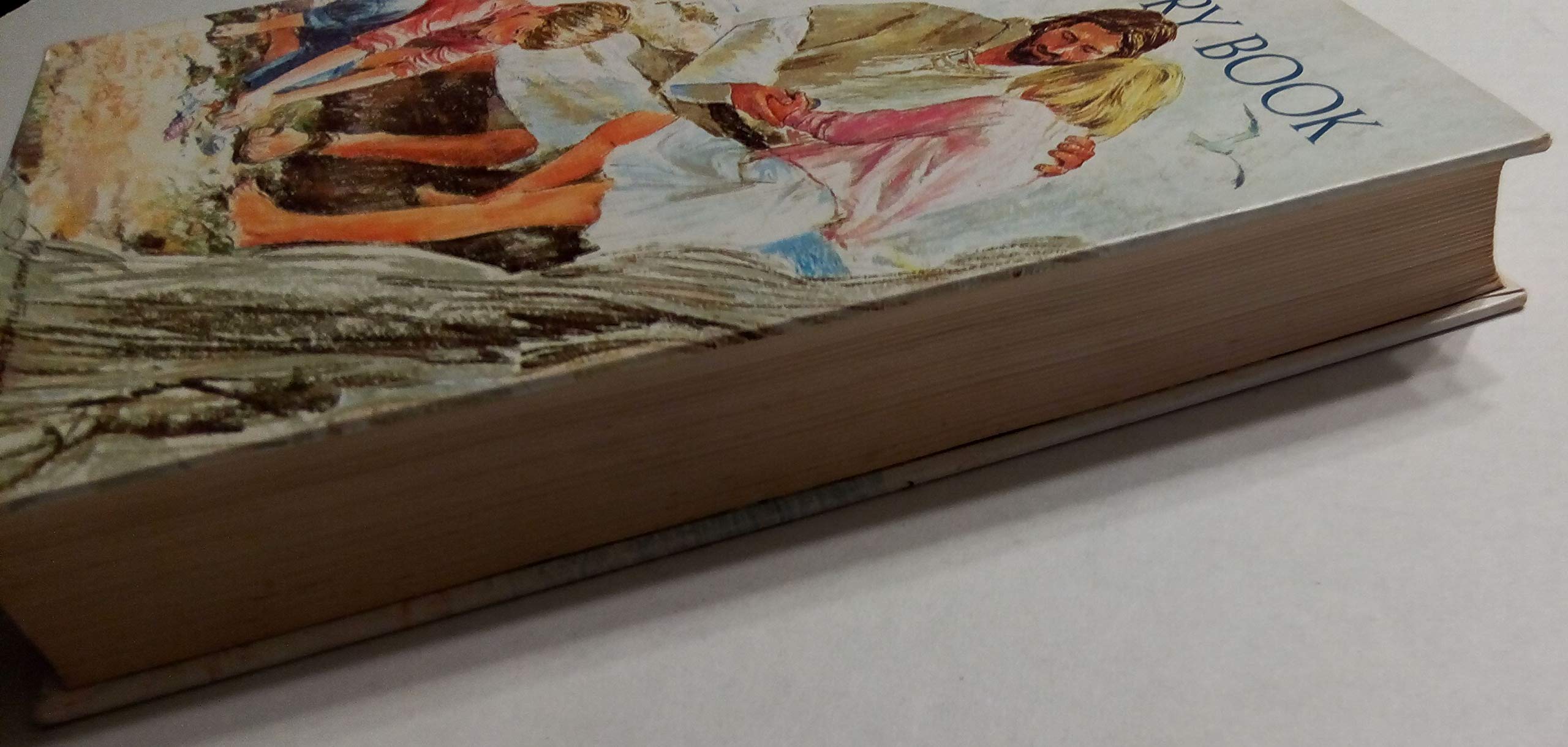 Taylor's Bible Story Book - Inspirational Christian Children's Bible Stories for Kids | Perfect for Sunday School, Bedtime Reading & Family Devotions
