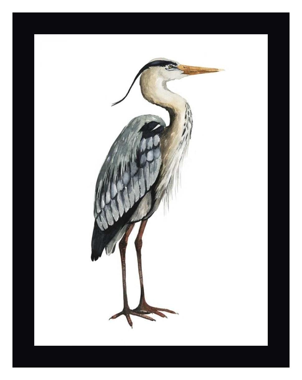 Grace Popp Sea Bird V 16x20 Framed Canvas Art Print - Black Wood Frame - Ready to Hang Wall Decor for Living Room, Bedroom & Office